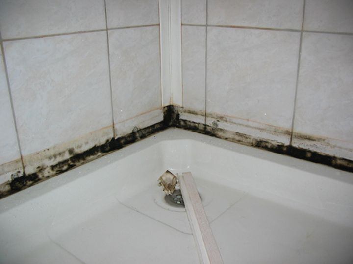 Обновление швов в ванной (между ванной и стенами, или в душевой кабине, или на кухне).