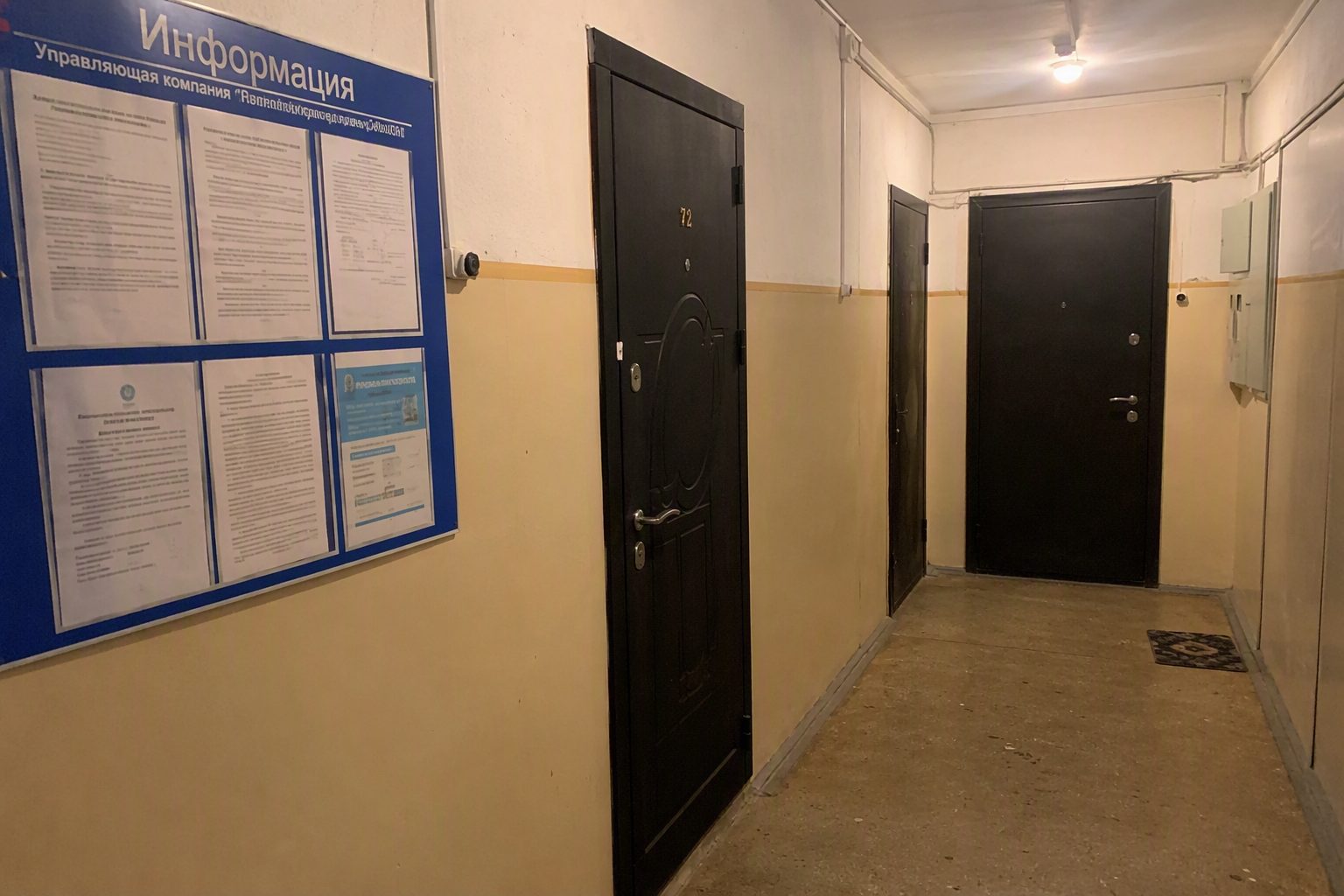 Клопы в многоквартирном доме: кто обязан обрабатывать